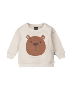 Sweater little bear