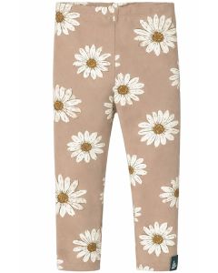 Legging daisies