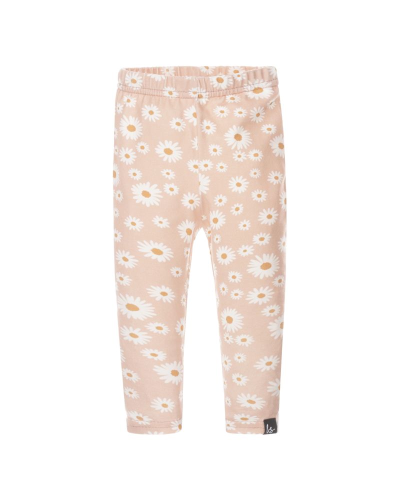 Legging daisy flowers