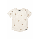 Rib